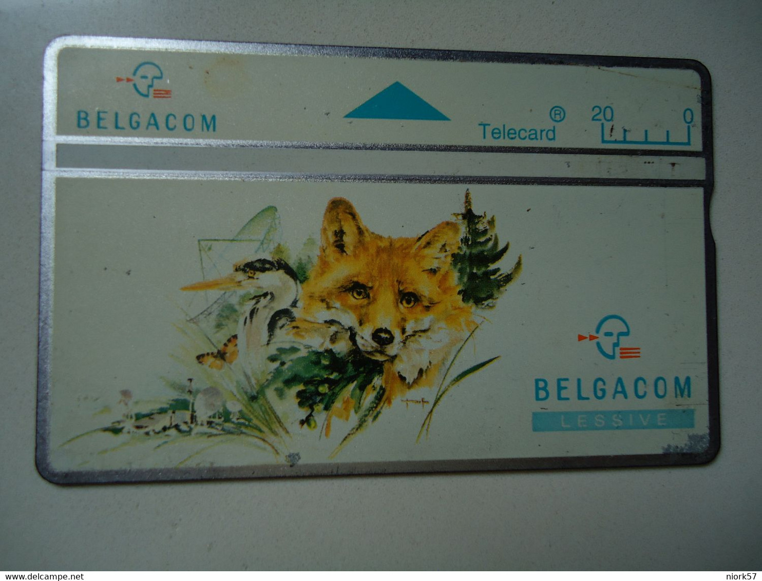 BELGIUM   USED CARDS   ANIMALS  RABBITS - Rabbits