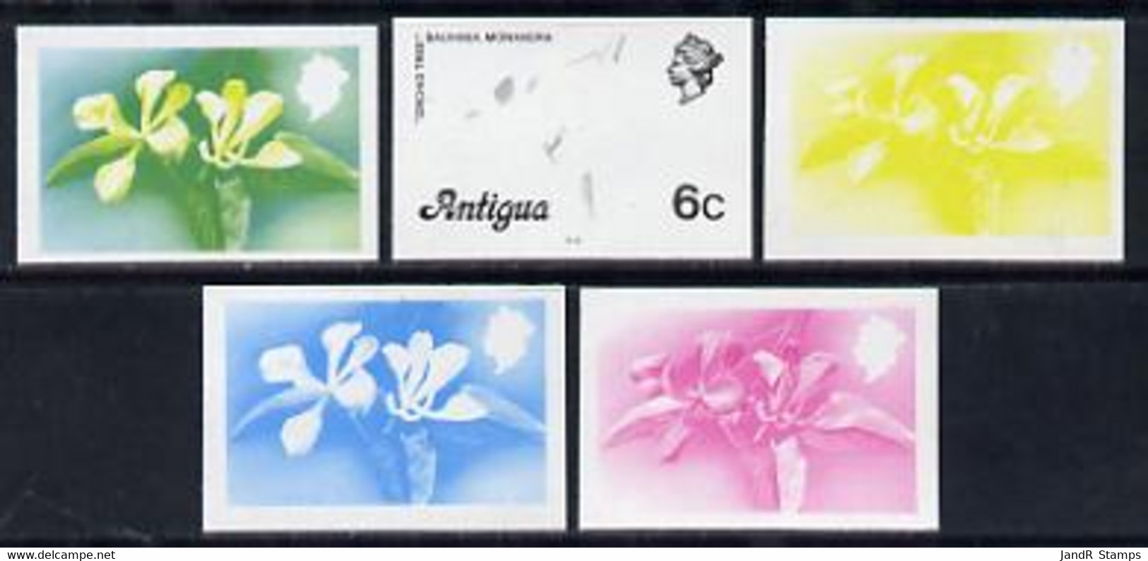 Antigua 1976 Orchid Tree 6c (with Imprint) Set Of 5 Imperf Progressive Colour Proofs (as SG 475B) U/m - Autres & Non Classés