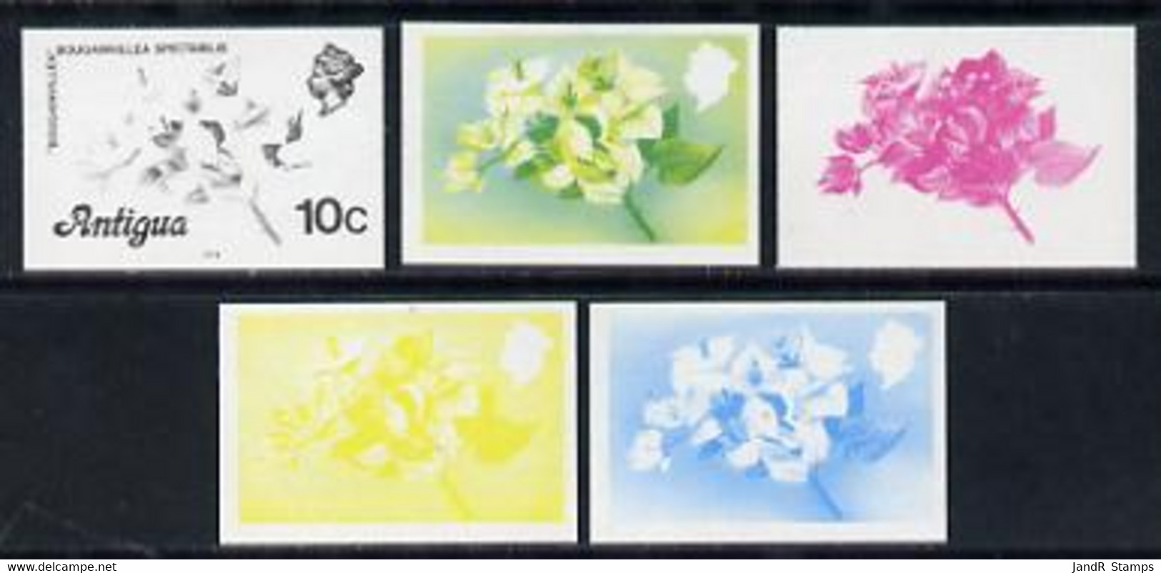 Antigua 1976 Bougainvillea 10c (with Imprint) Set Of 5 Imperf Progressive Colour Proofs - Autres & Non Classés