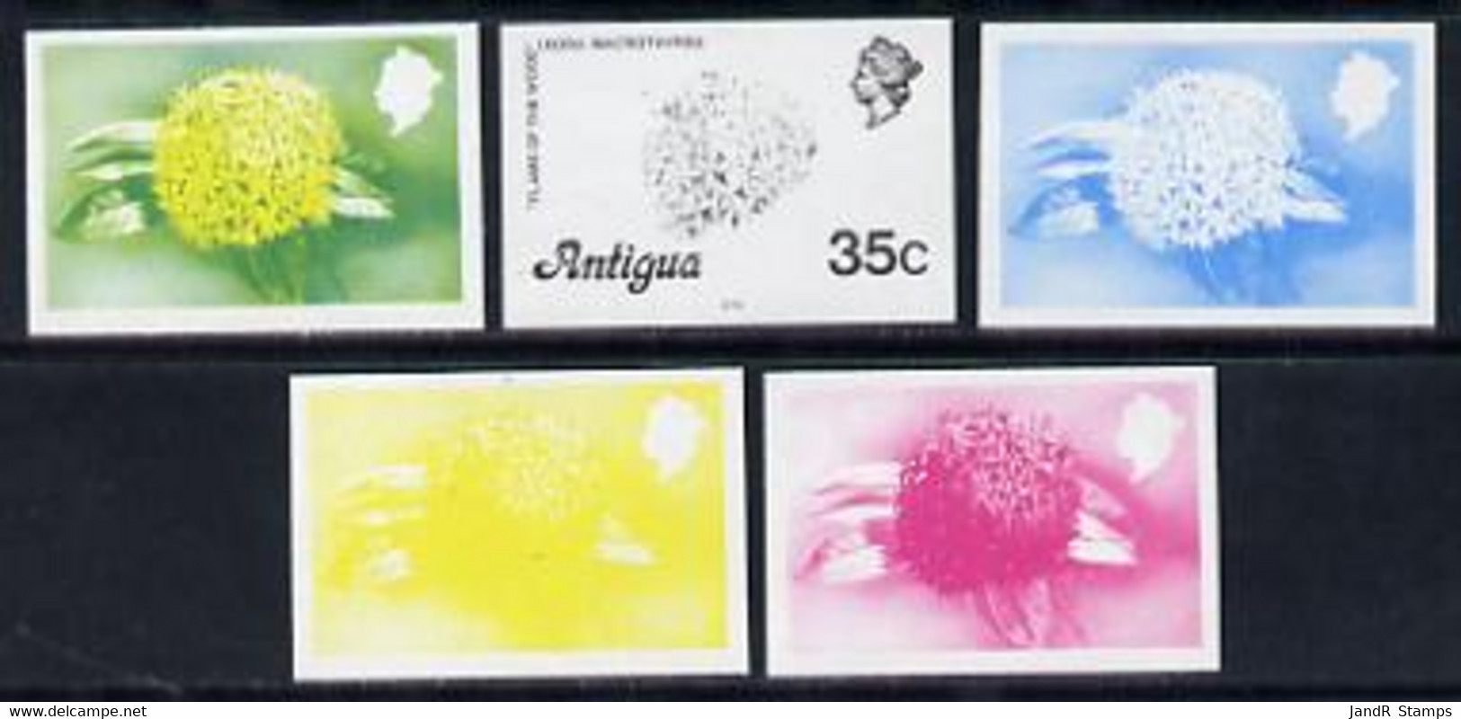Antigua 1976 Flames Of The Wood 35c (with Imprint) Set Of 5 Imperf Progressive Colour Proofs - Autres & Non Classés