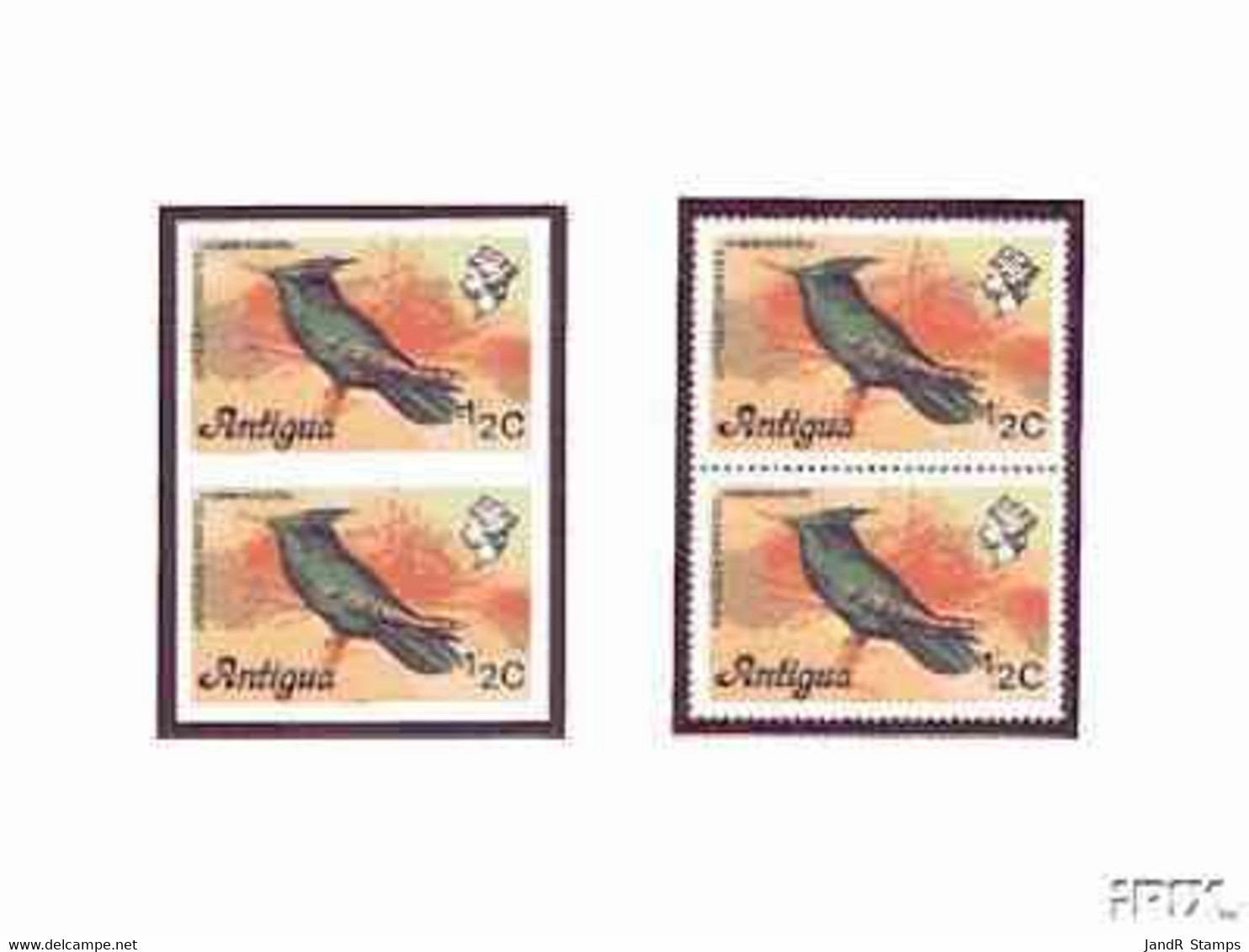 Antigua 1976 Crested Hummingbird 1/2c (without Imprint) U/m Imperforate Pair Plus Normal Pair (SG 469Avar) - Andere & Zonder Classificatie