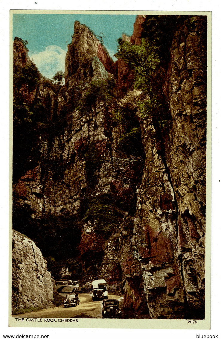 Ref 1486 - Postcard - Cars & Coaches Buses At Castle Rock - Cheddar Somerset - Cheddar