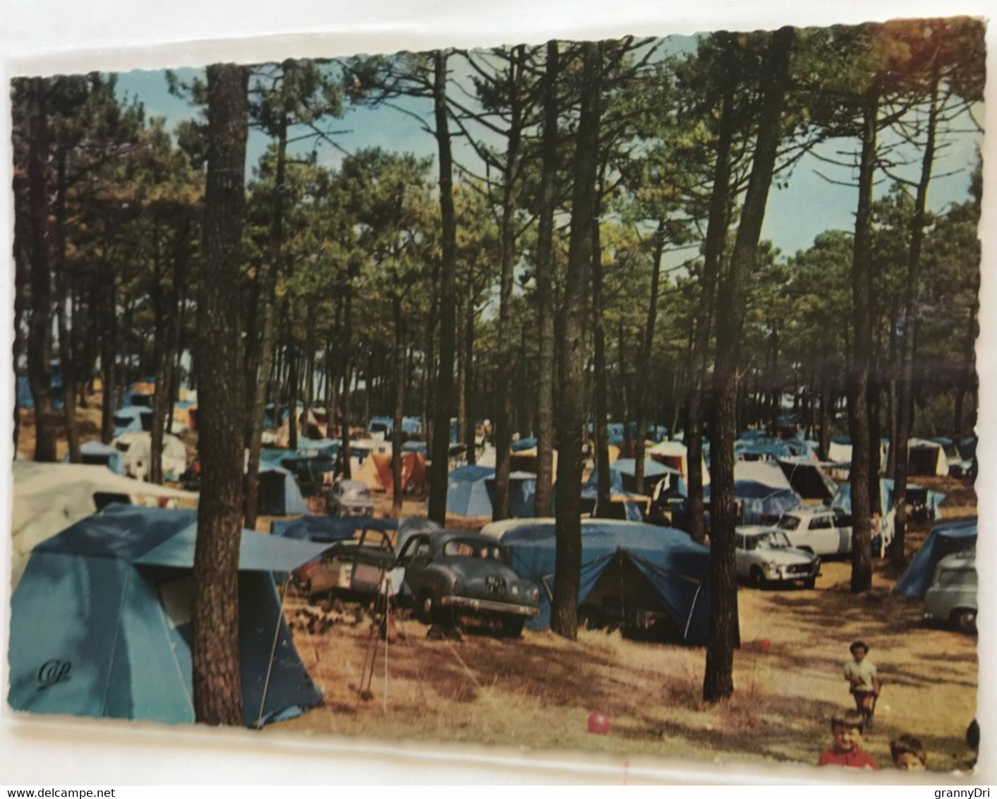 44 Saint Brévin  L Océan 1966 Camping Dans Les Pins  Tentes Caravanes Autos Enfants - Saint-Brevin-l'Océan