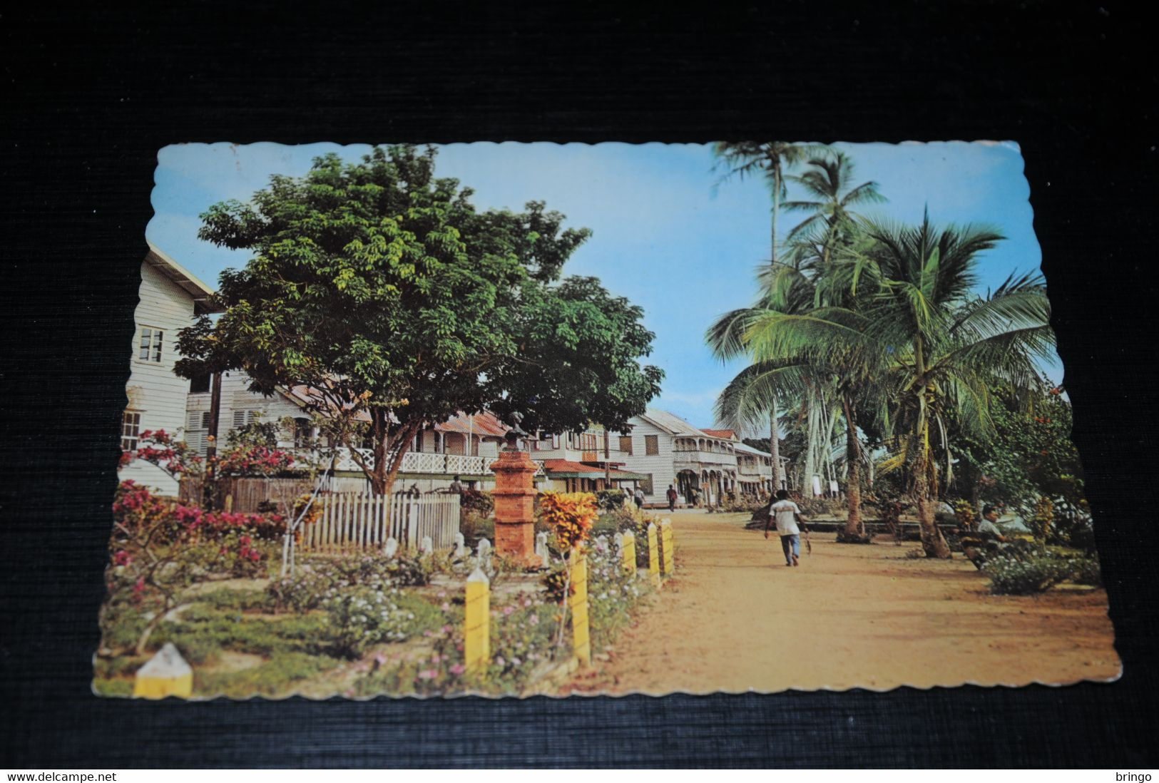 28920-                   SURINAME - Surinam