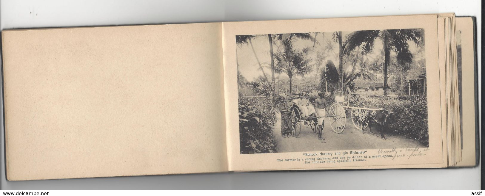 Ceylon Ceylan Sri Lanka Souvenir 24 choice photographic views  11,4 x 17 cm , sans date ( vues 8,7 x 13,8 )