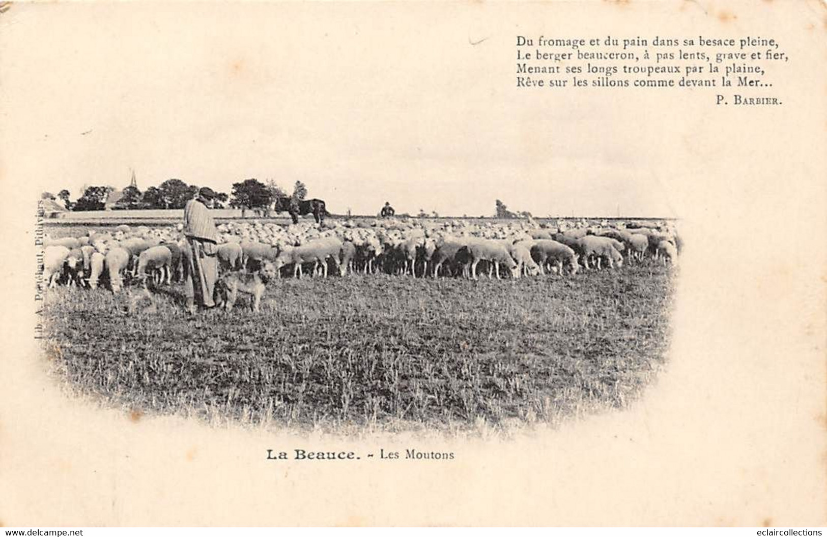 Divers        28        La Beauce: Les Moutons .  Poème De P. Barbier          ( Voir Scan) - Autres & Non Classés