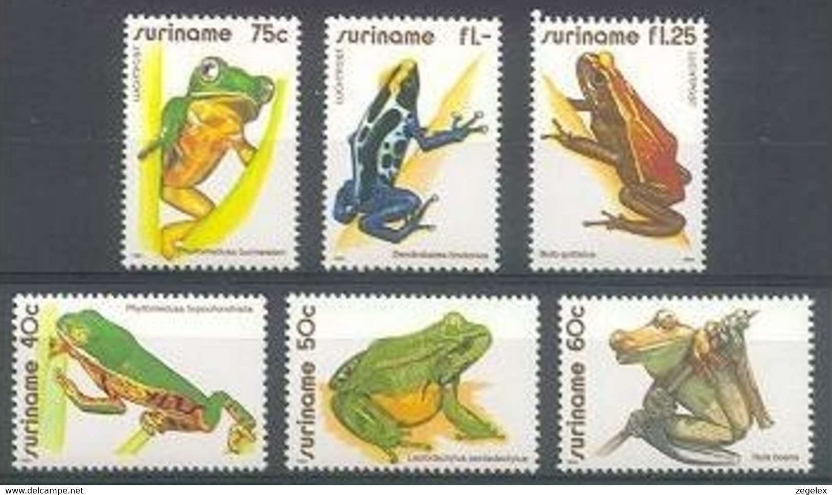 Suriname 1981 Fauna, Kikkers, Frogs, Grenouilles MNH/**/Postfris - Suriname