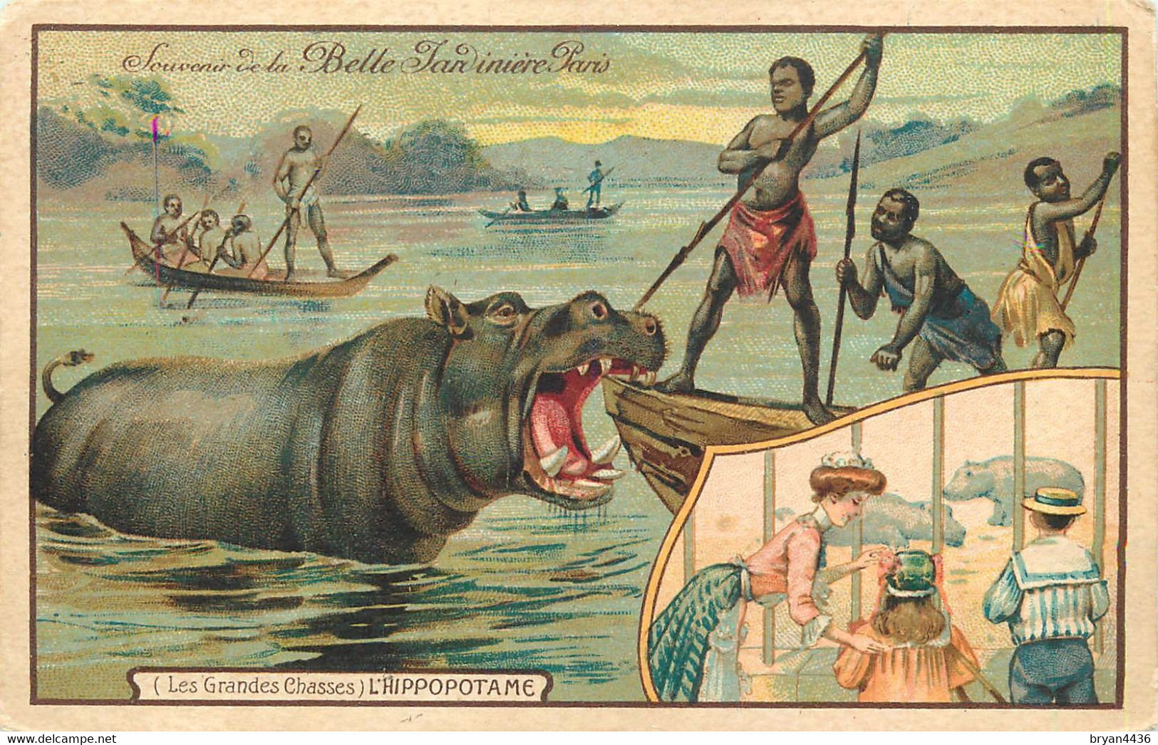 HIPPOPOTAMES - LA CHASSE à L' HIPPOPOTAME - CPA édition PUB; LA BELLE JARDINIERE PARIS  - TRES BON ETAT - Hippopotames