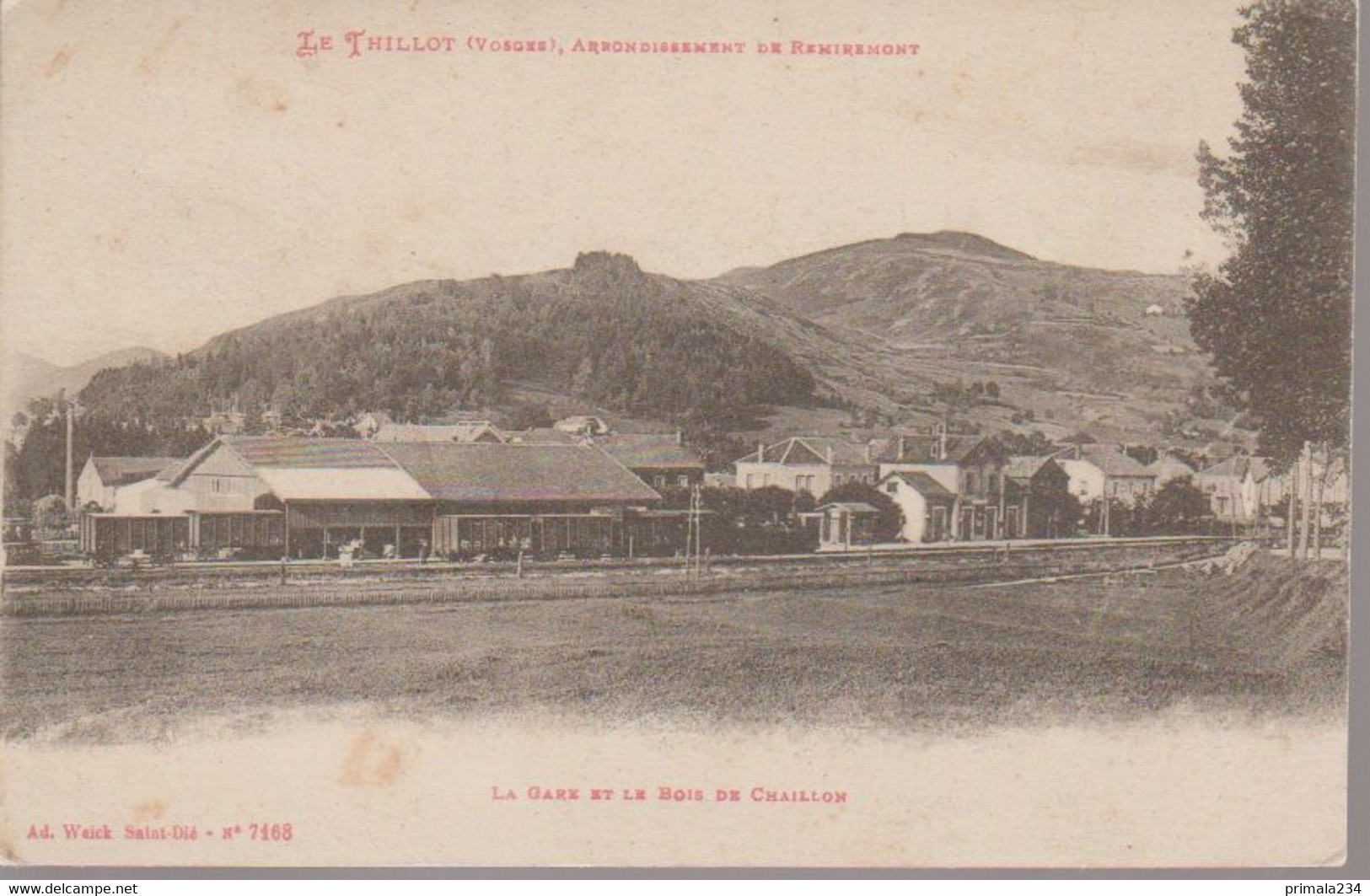 LE THILLOT  - LA GARE - Le Thillot