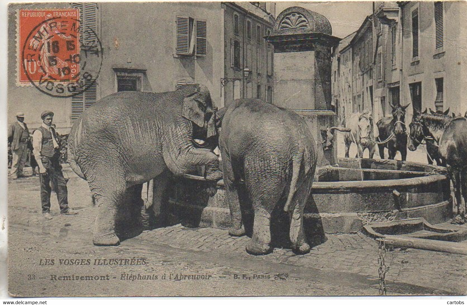 88 REMIREMONT  Eléphants à L'Abreuvoir (TOP Peu Courante) - Remiremont