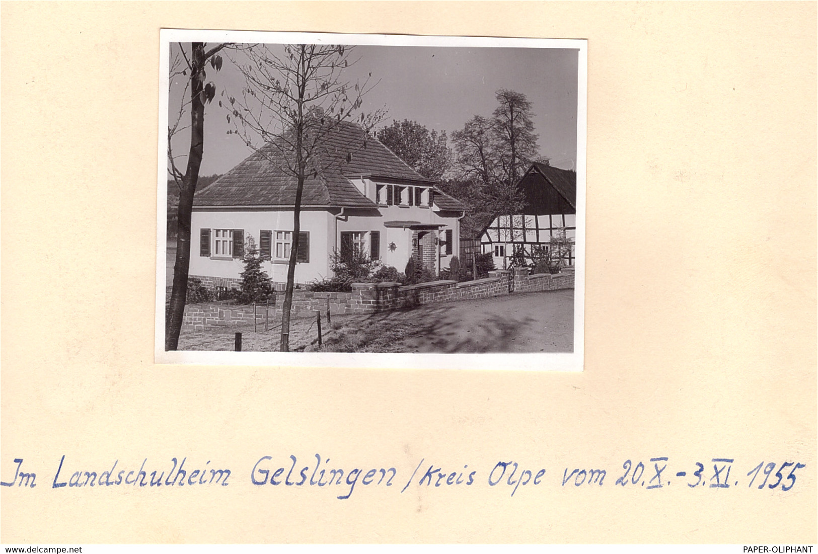5962 DROLSHAGEN - GELSLINGEN, Schullandheim 1955, Aufgeklebtes Photo, 10,5 X 8,3 Cm - Olpe