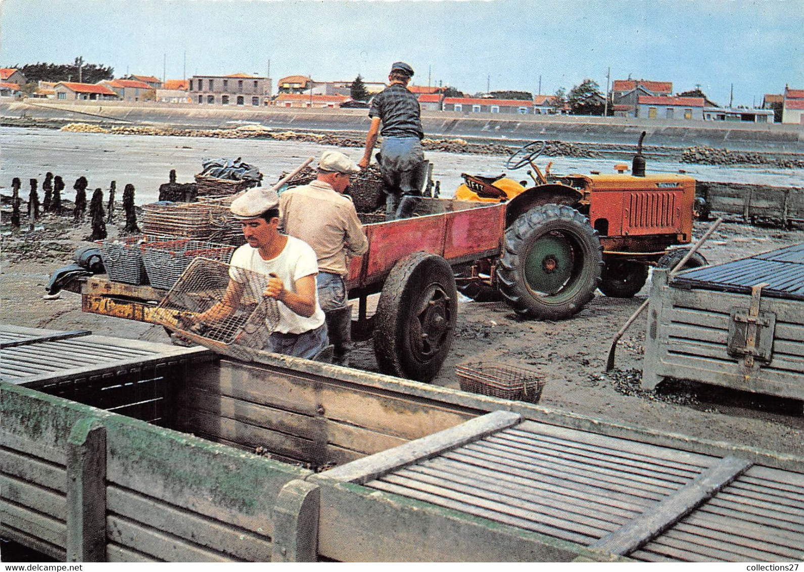 17-CHATELAILLON-PLAGE- LE TRIAGE DES MOULES - Châtelaillon-Plage