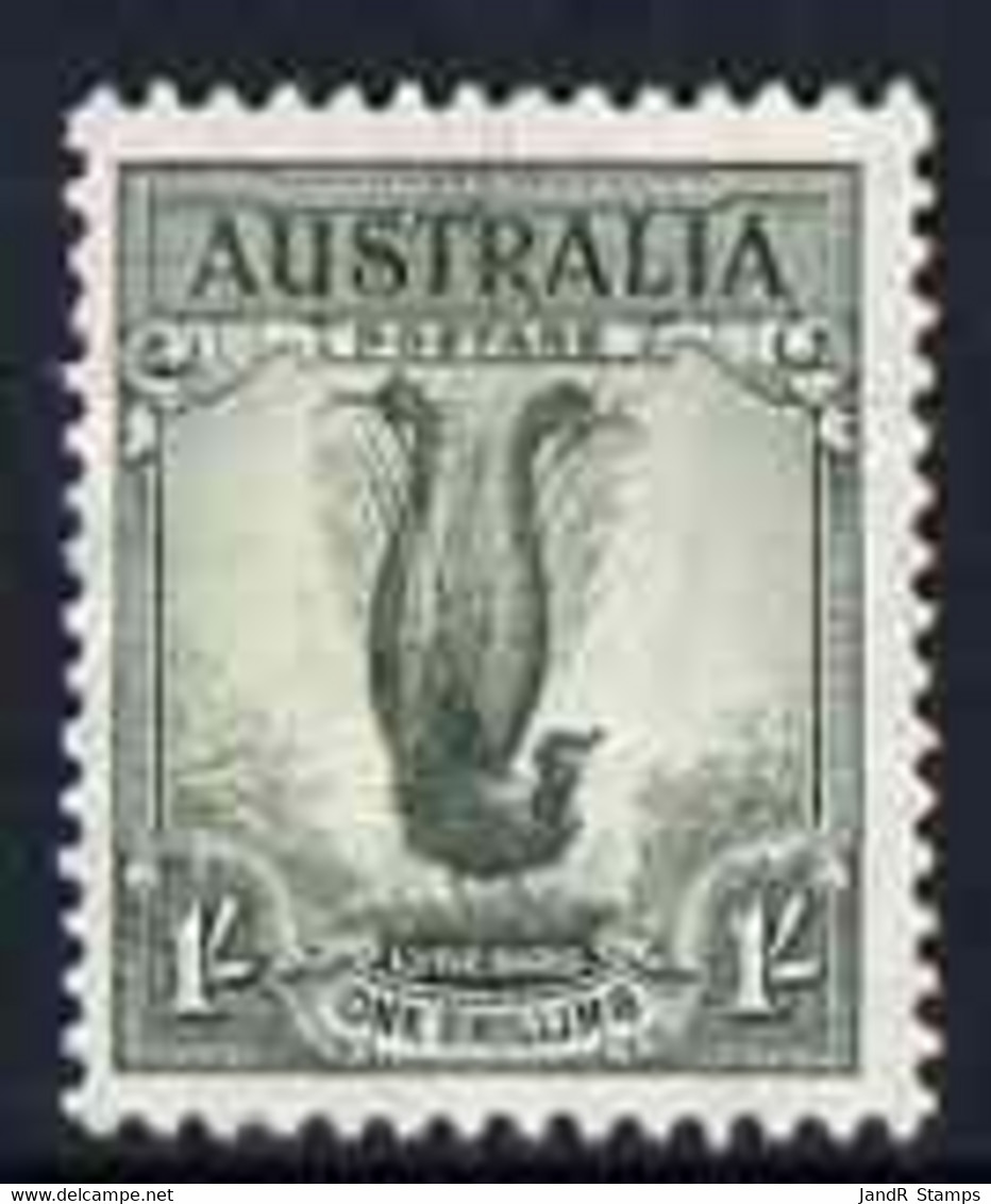 Australia 1937-49 KG6 Lyre Bird 1s P13.5 X 14 Lightly Mounted SG 174 - Ongebruikt
