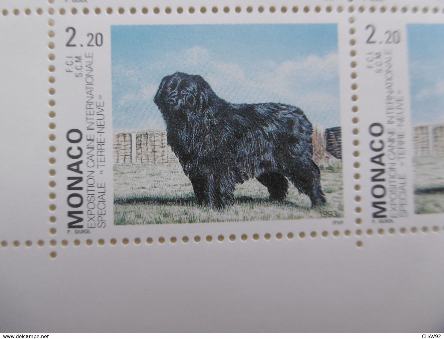 MONACO    P1872 * *   CHIEN TERRE NEUVE EN FEUILLE DE 25 LUXE - Collections, Lots & Séries