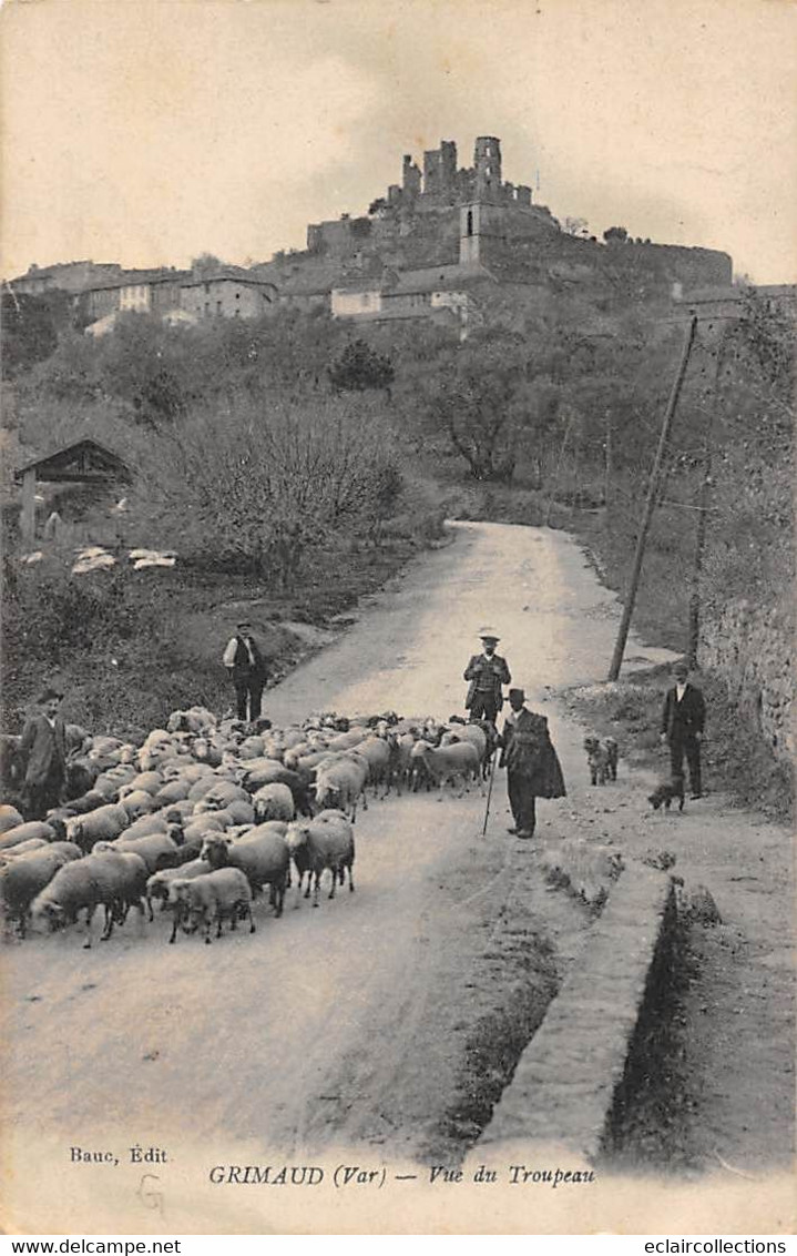 Grimaud       83        Vue Du Troupeau De Moutons             ( Voir Scan) - Andere & Zonder Classificatie