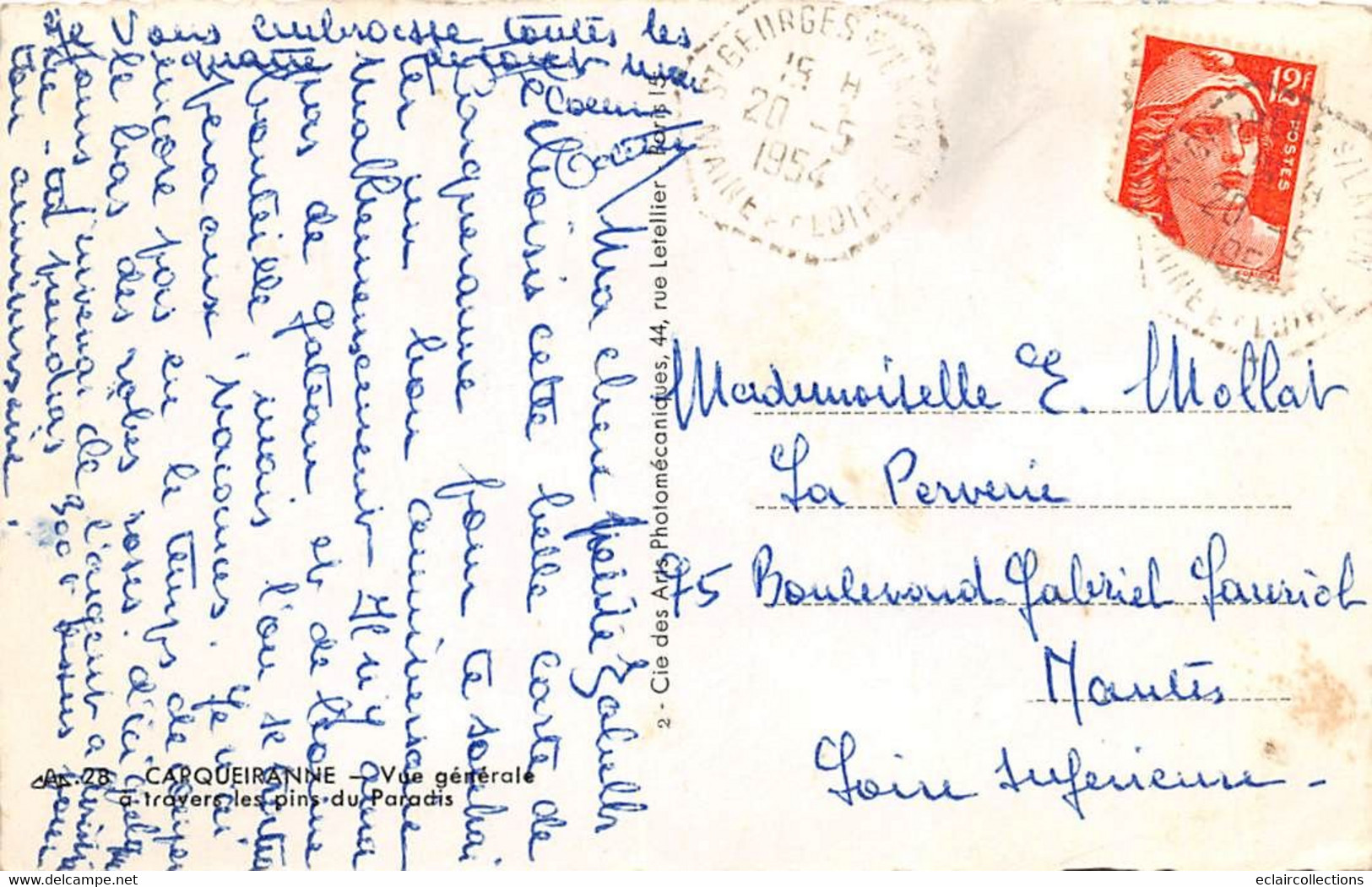 Carqueiranne        83        Vue Générale à Travers Les Pins      Année 1954          ( Voir Scan) - Carqueiranne