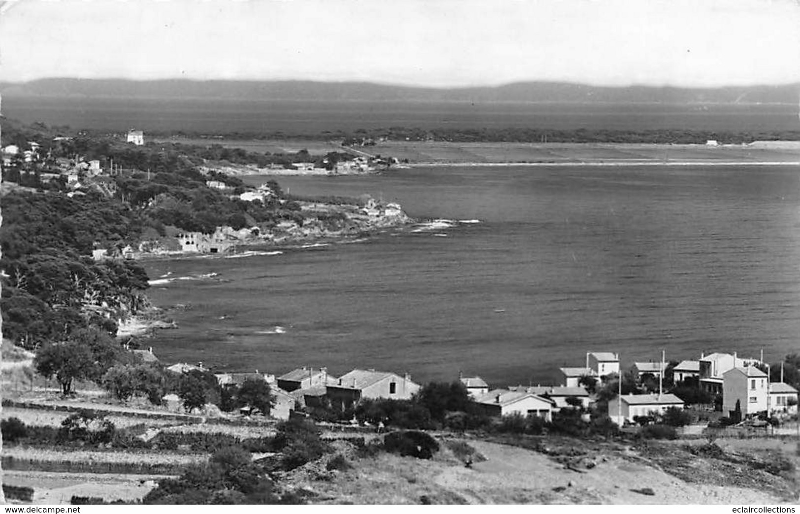 Carqueiranne        83        Salettes, Les Pins Penchés      Année 1961        ( Voir Scan) - Carqueiranne