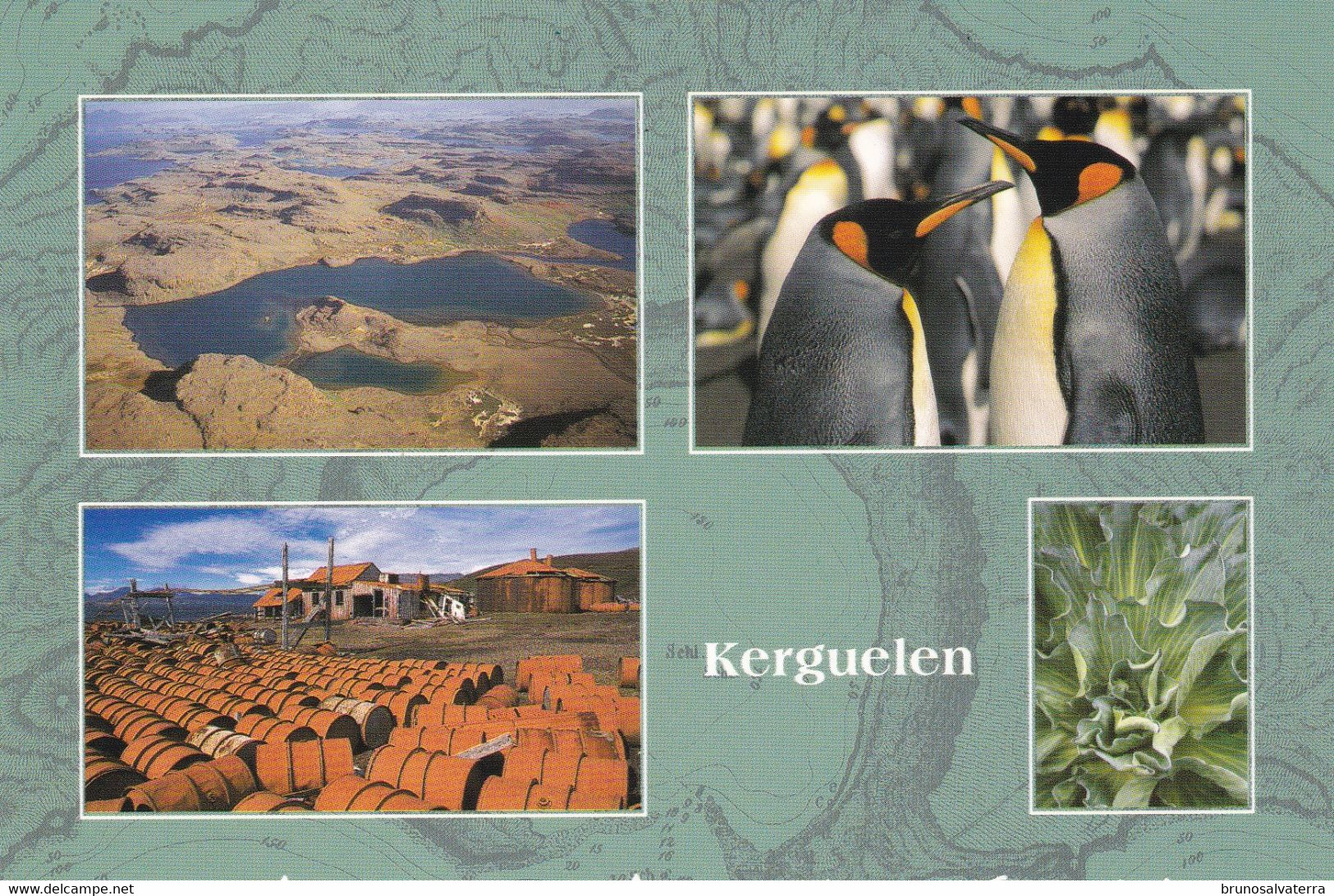 TERRES AUSTRALES ET ANTARCTIQUES FRANCAISES - Kerguelen - TAAF : French Southern And Antarctic Lands