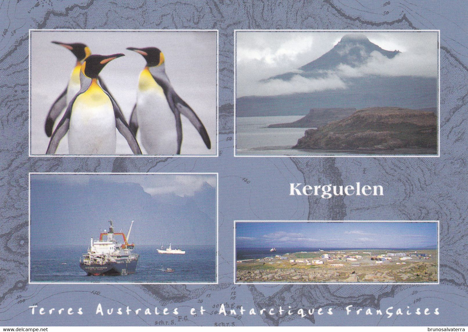 TERRES AUSTRALES ET ANTARCTIQUES FRANCAISES - Kerguelen - TAAF : Terres Australes Antarctiques Françaises