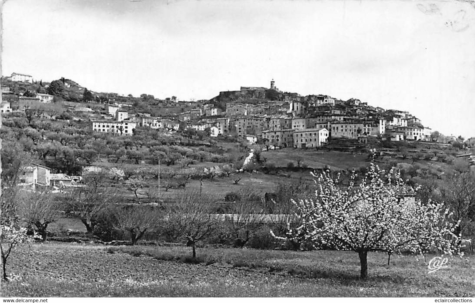 Fayence         83         Vue Générale  Année  1957.      ( Voir Scan) - Fayence