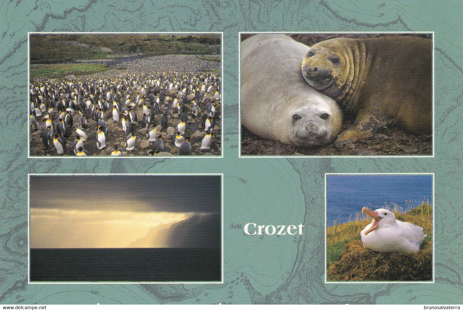 TERRES AUSTRALES ET ANTARCTIQUES FRANCAISES - Crozet - TAAF : French Southern And Antarctic Lands