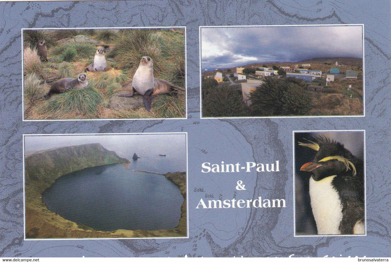 TERRES AUSTRALES ET ANTARCTIQUES FRANCAISES - Saint-Paul Et Amsterdam - TAAF : Territorios Australes Franceses