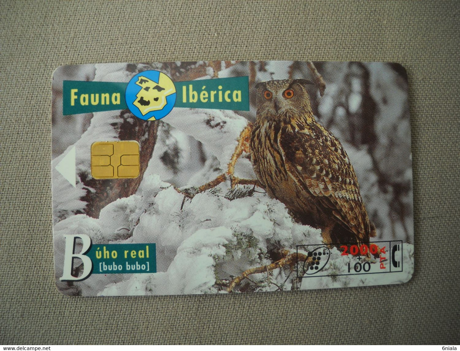 7056 Télécarte Collection OISEAU HIBOU ROYAL  Espagne  ( Recto Verso)  Carte Téléphonique - Eulenvögel