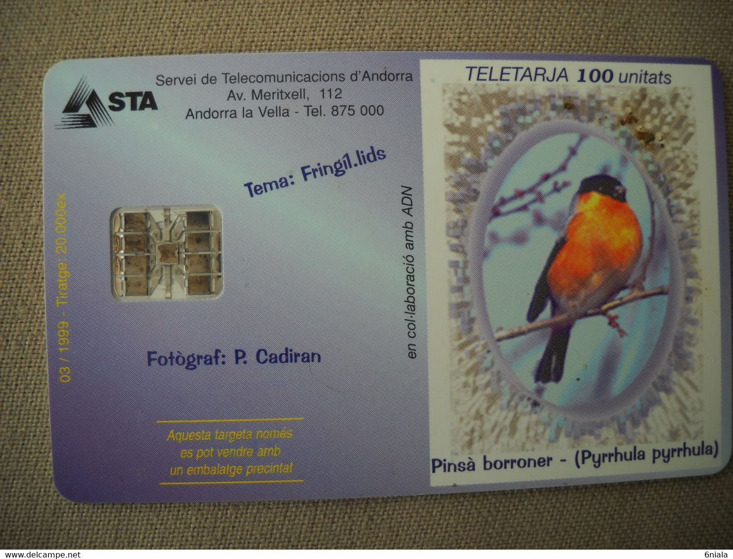 7057 Télécarte Collection OISEAU Principauté ANDORRE Pinsa Borroner  ( Recto Verso)  Carte Téléphonique - Zangvogels