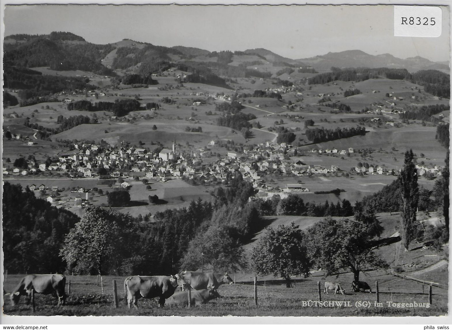 Bütschwil - Generalansicht - Toggenburg - Kühe Vaches Cows - Bütschwil-Ganterschwil