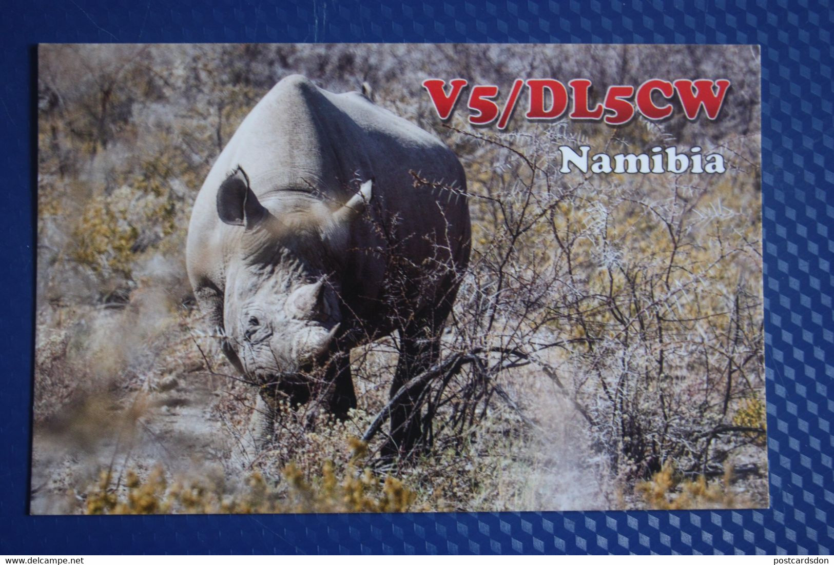 Namibia - Rhino - QSL - Rhinoceros