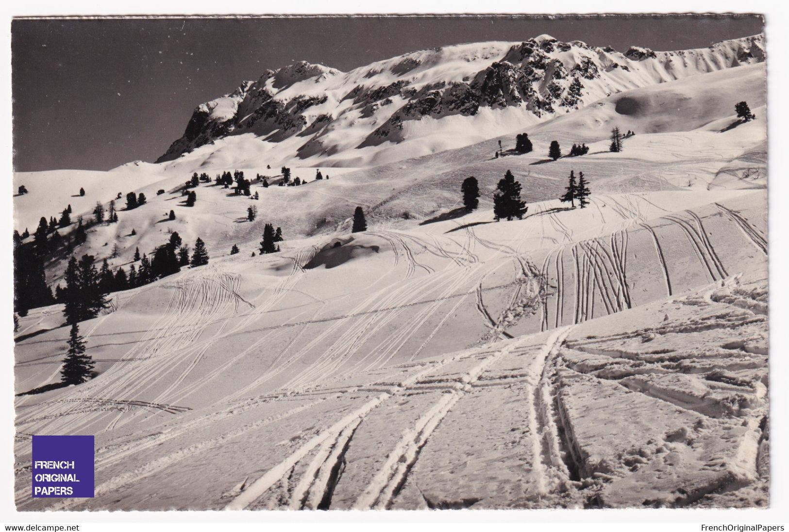 CP Postcard 1950s Parsenn Küblis Abfahrt Der Alpengarten - Photo & Verlag Berni Klotsers D1-333 - Küblis