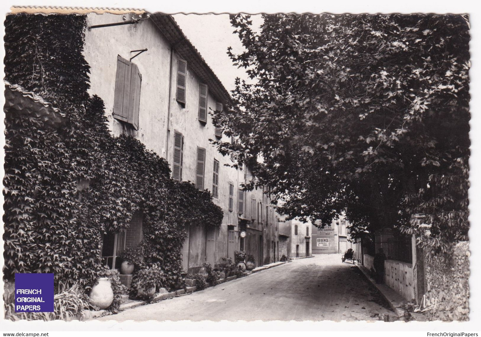 TBE CP Carte Postale 1957 Nans Les Pins Var Hôtel De Nans Et La Sainte-Baume Pub Chateauneuf Ed. Tardy D1-342 - Nans-les-Pins