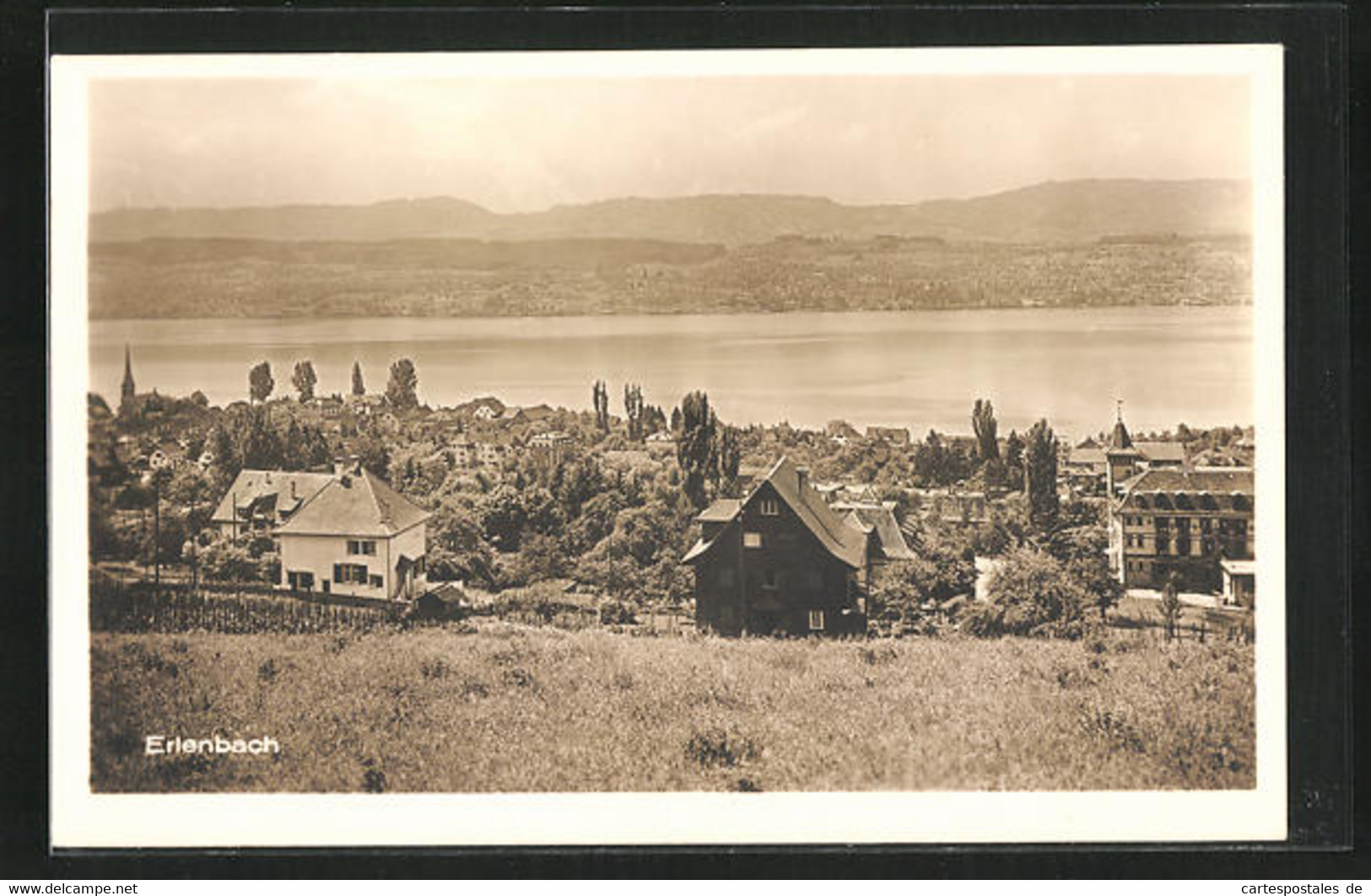 AK Erlenbach, Teilansicht Im Sommer, Seepanorama - Erlenbach Im Simmental