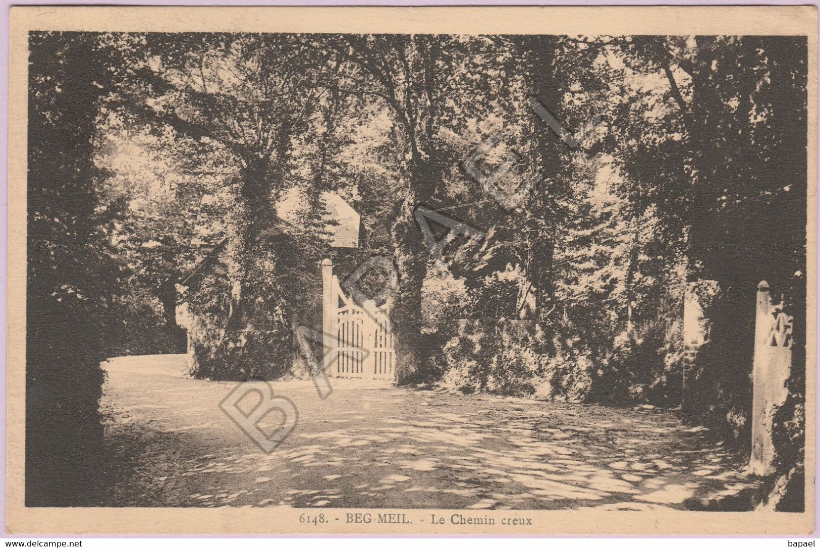 Fouesnant (29) - Lieu-Dit Beg Meil - Le Chemin Creux (Circulé En 1925) - Fouesnant