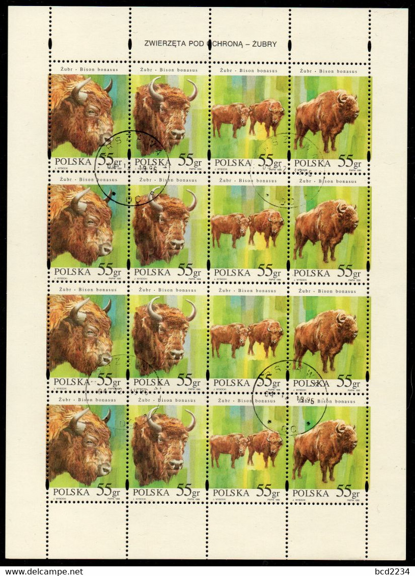 POLAND 1996 PROTECTED SPECIES EUROPEAN FEMALE & MALE BISON FIRST DAY SHEET OF USED 4 STRIPS OF 4 ENDANGERED ANIMALS - Hojas Completas