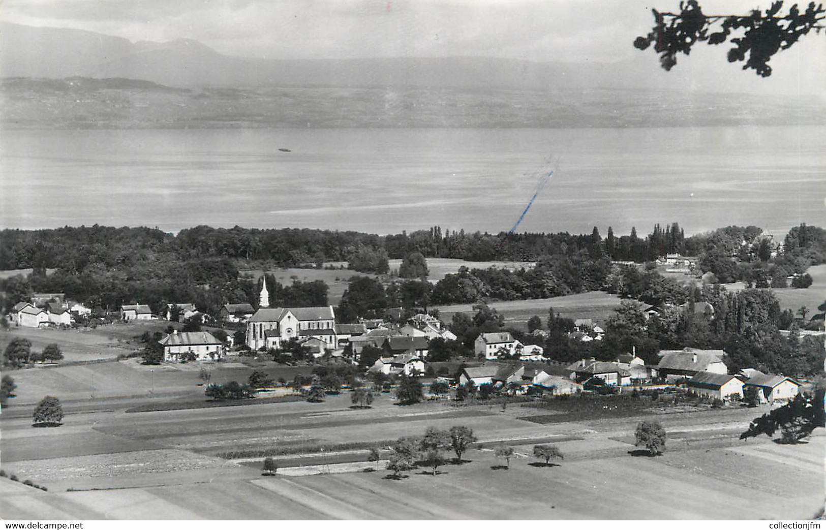 CPSM FRANCE 74 " Sciez, Le Lac Léman" - Sciez