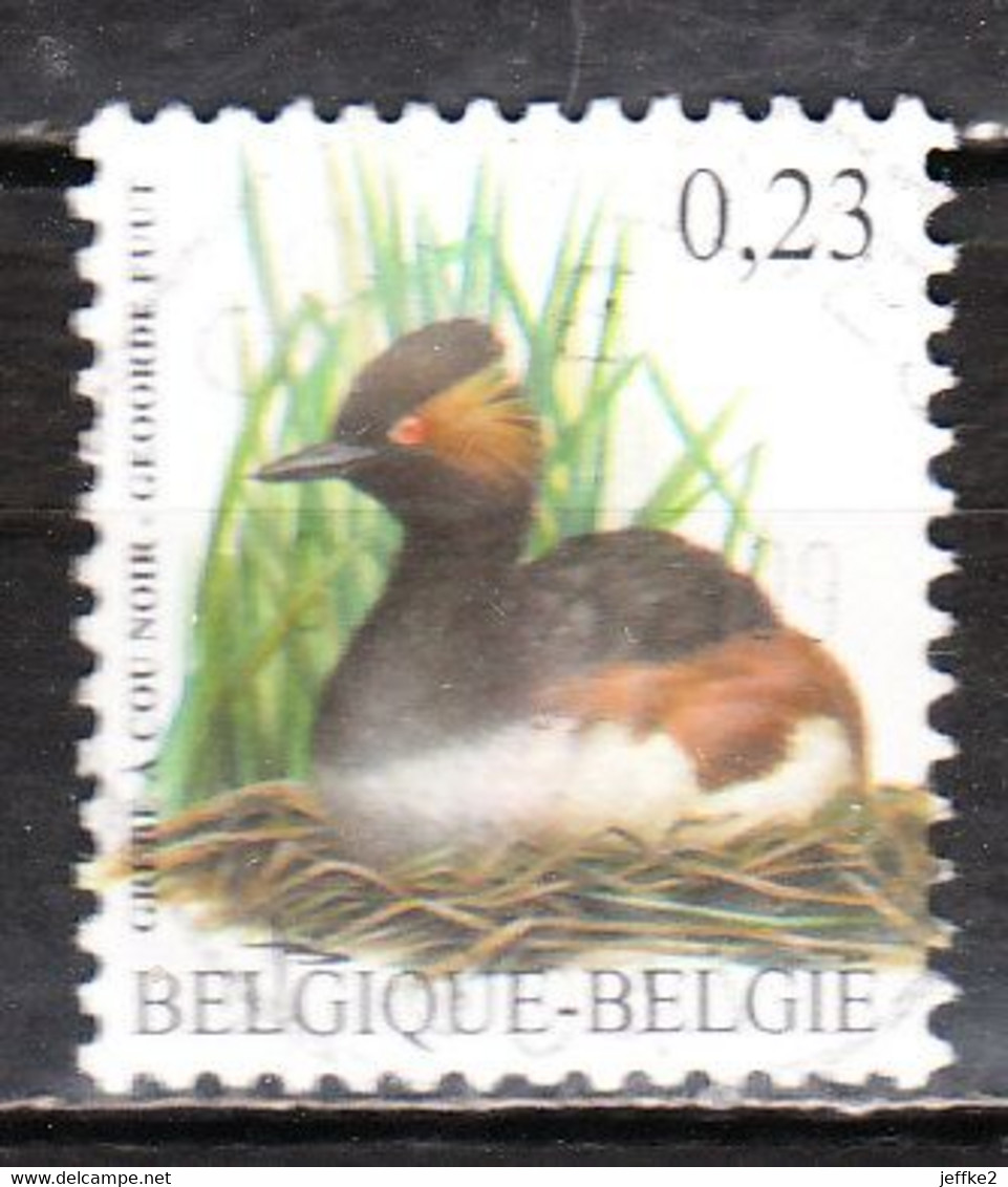 3546  Oiseau - Buzin - Bonne Valeur - Oblit. Centrale - LOOK!!!! - Gebraucht