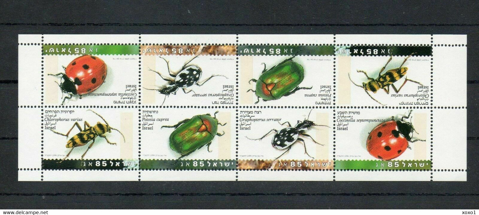 Israel 1994 MiNr. 1287 - 1290 Insects Beetles 8v MNH** 10.00 € - Ungebraucht (ohne Tabs)