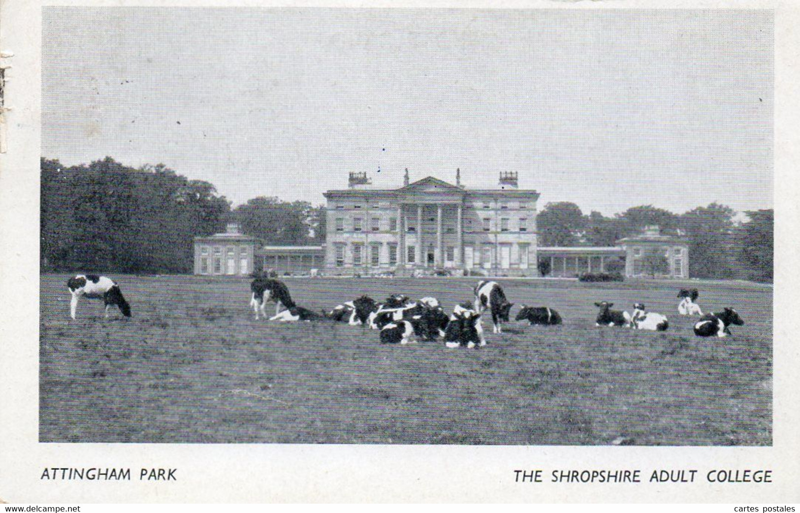 ATTINGHAM PARK - The Shropshire Adult College - Shropshire