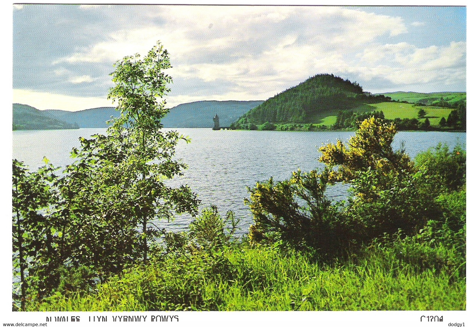 LLYN VYRNWY, POWYS, WALES. UNUSED POSTCARD As1 - Montgomeryshire