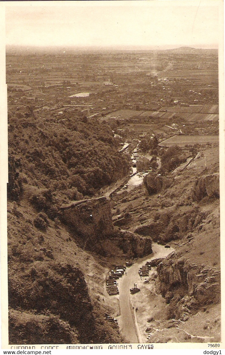 CHEDDAH GORGE APPROACHING GOUGH'S CAVES, CHEDDAH, SOMERSET, ENGLAND. UNUSED POSTCARD As9 - Cheddar