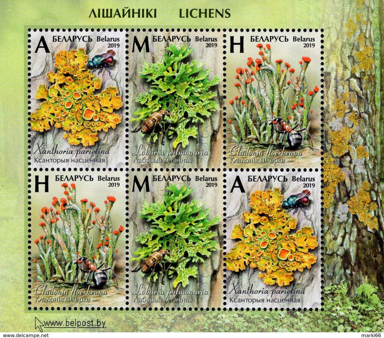 Belarus - 2019 - Flora - Lichens - Mint Miniature Stamp Sheet - Belarus