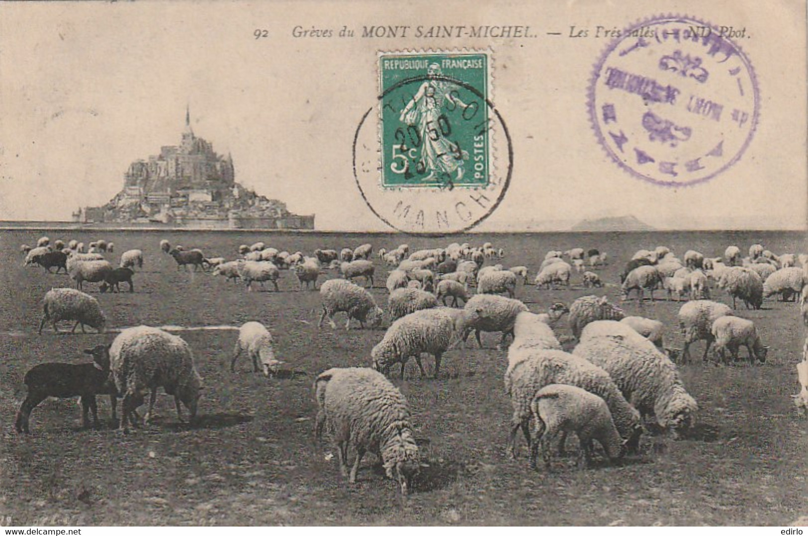 ***  50  *** LE MONT SAINT MICHEL  Les Près Salés Moutons  Et Chien De Bergerr - Breeding