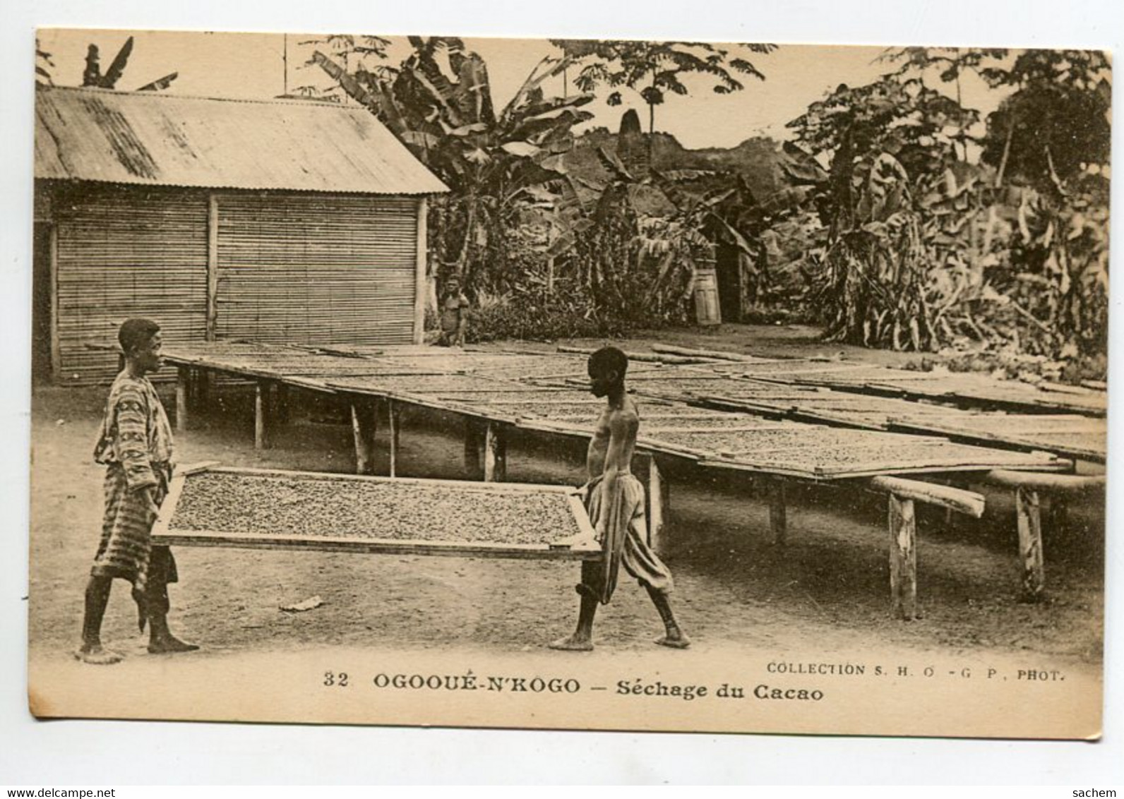 GABON OGOOUE  N'KOGO Séchage Du Cacao Indigènes Transport Palette 1920  No 32 Coll SHOGP   D10 2021 - Gabón