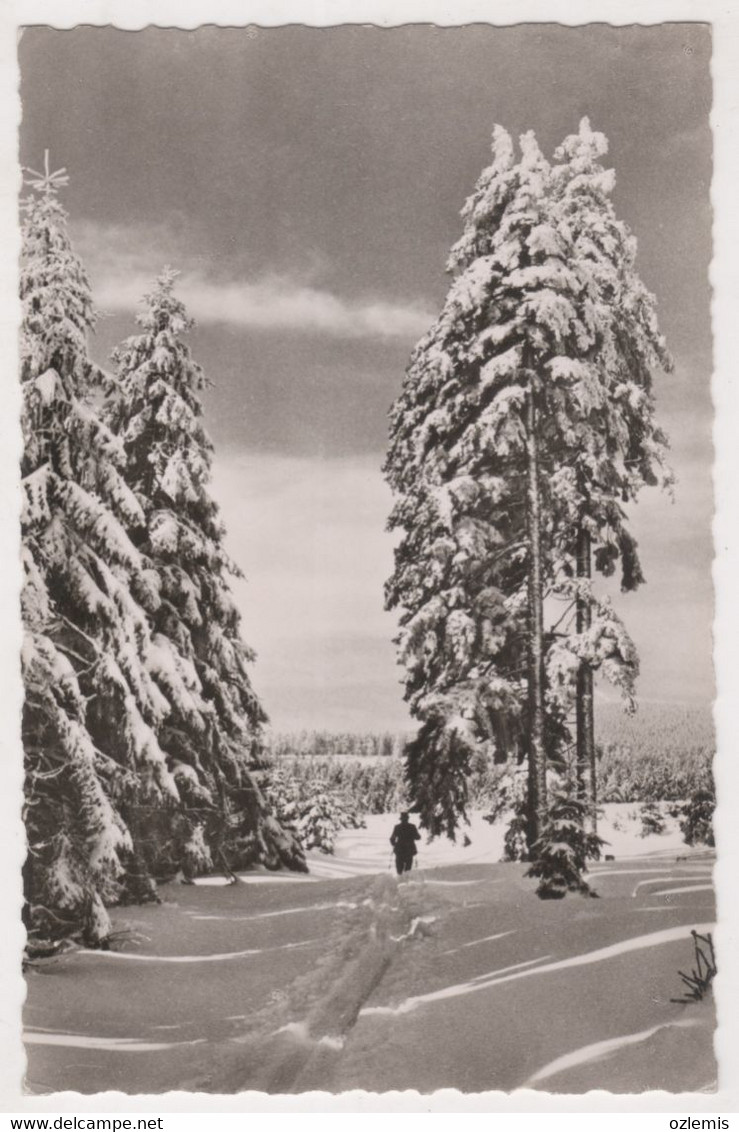 OBERHARZ,WINTER  ,PHOTOCARD - Oberharz