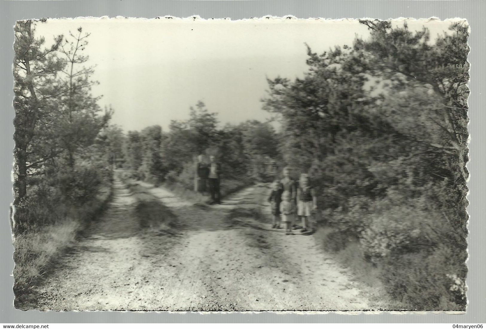 ***  3 X AS  ***  -  Statiewijk / Wandelweg + Schuttersberg / Wandelweg + Bos En Heide - As