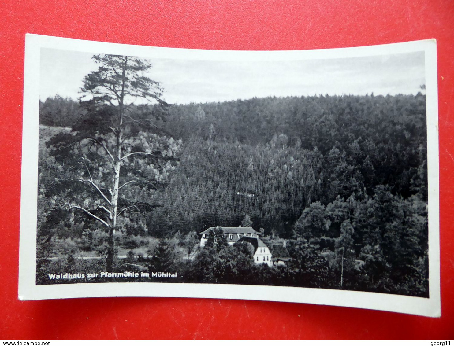 EISENBERG Waldhaus Zur Pfarrmühle Im Mühltal  - Echt Foto Kleinformat - Thüringen - 1957 - Eisenberg