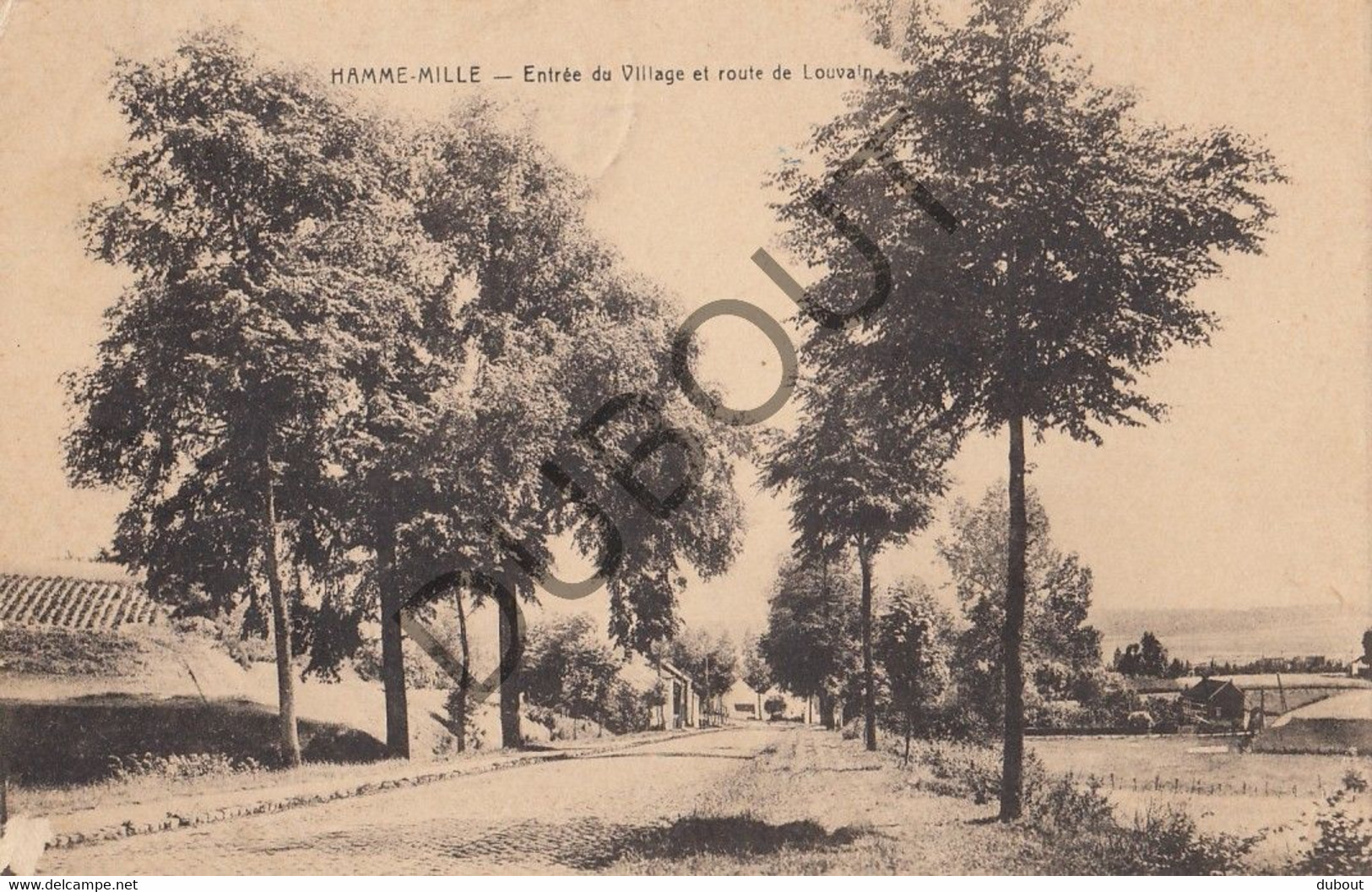 Postkaart-Carte Postale HAMME MILLE - Route De Louvain (C736) - Beauvechain