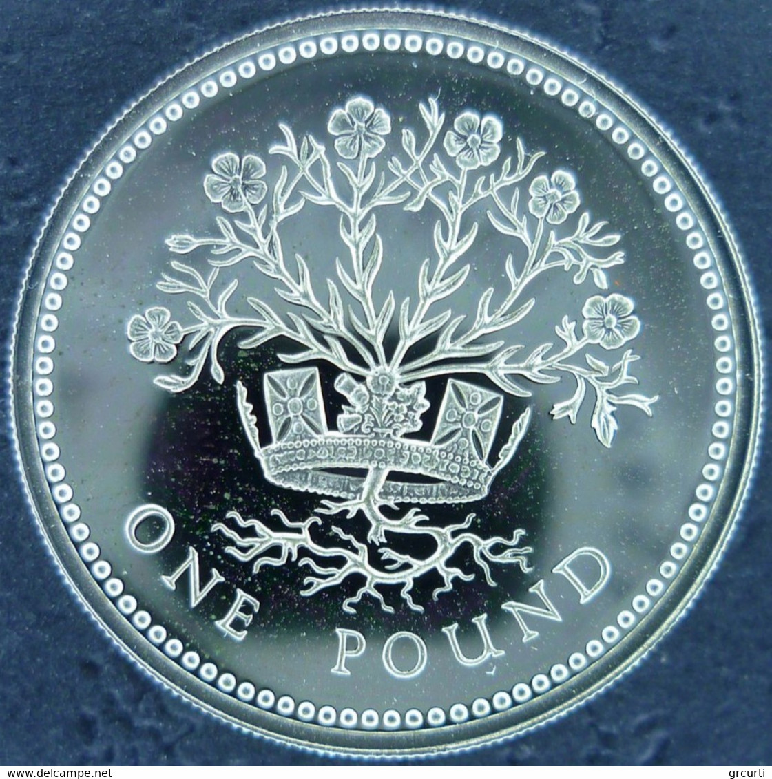 Gran Bretagna - Pound 1991 - Northern Ireland - Blooming Flax - KM# 946a - 1 Pond