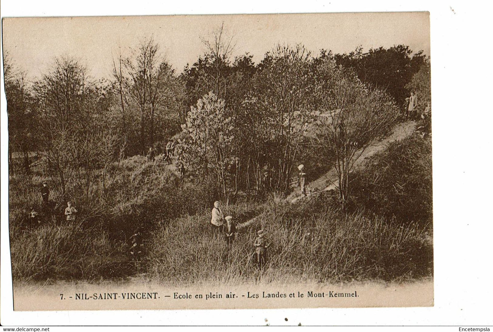 CPA Carte Postale-Belgique-Nil Saint Vincent Ecole En Plein Air Mont Kemel  VM31243at - Walhain